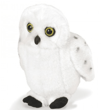 Snowy Owl from RSP