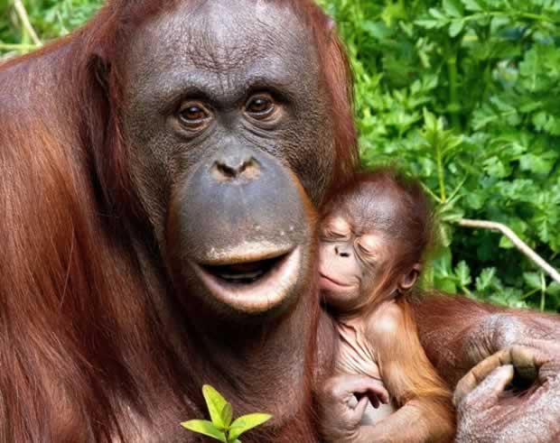 Photo by Ray Wiltshire / Rex Features (2333903d).