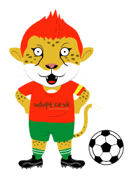 World Cup Player