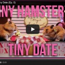 Romantic hamsters