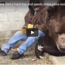 Watch This Guy Provide Comfort To His Best Mate Bear