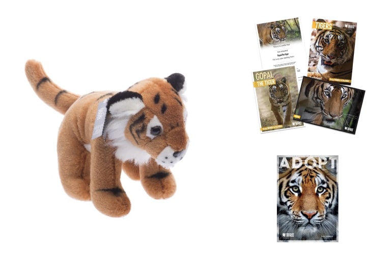 Adopt a Tiger at udopt.co.uk